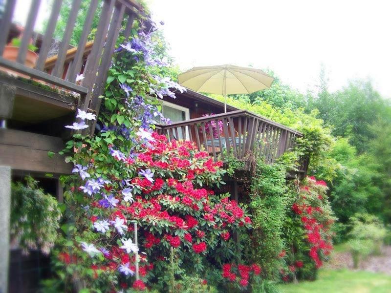 Misty Valley Inn Forks Buitenkant foto